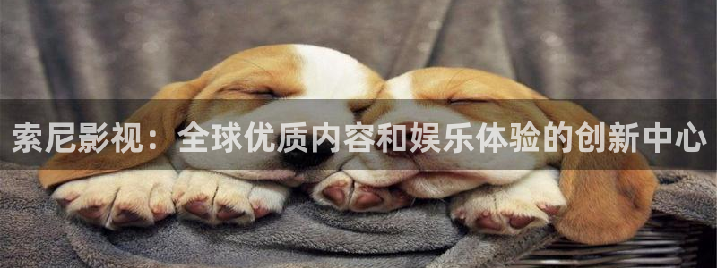 久久人人爽人人爽人人片av麻豆：索尼影视：全球优质内容和娱乐体验的创新中心