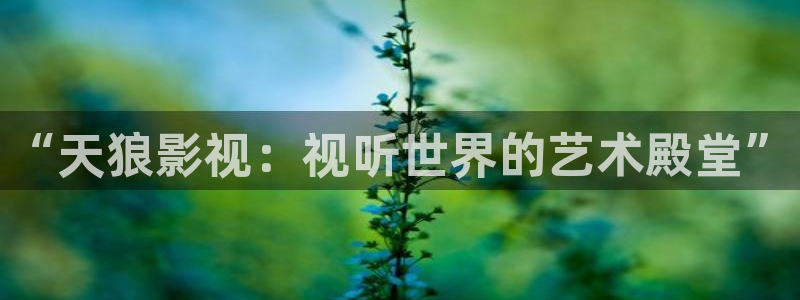 麻豆一级电影：“天狼影视：视听世界的艺术殿堂”