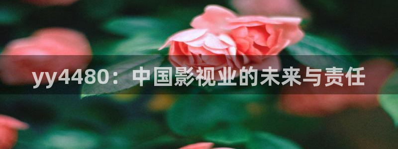 在线观看视频麻豆：yy4480：中国影视业的未来与责任
