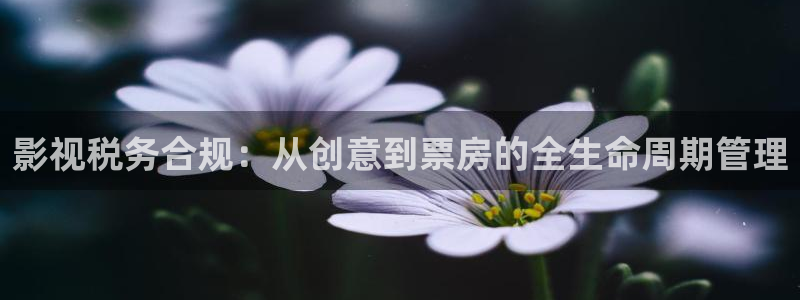 高清国产麻豆