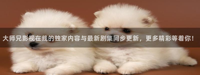 麻豆理伦片：大师兄影视在线的独家内容与最新剧集同步更新，更多精彩等着你！