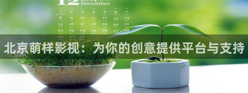 麻豆看片动漫：北京萌样影视：为你的创意提供平台与支持