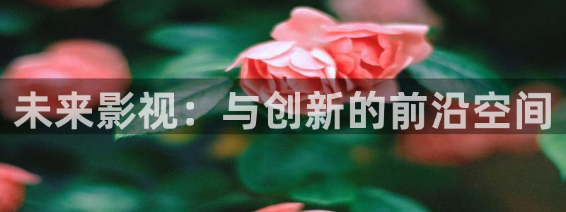 在线观看麻豆电影：未来影视：与创新的前沿空间