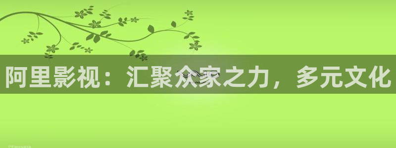 一级麻豆电影：阿里影视：汇聚众家之力，多元文化